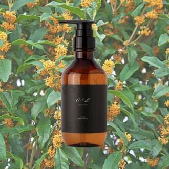 Body & Hand Wash 400ml