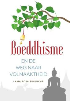 Boeddhisme en de weg naar volmaaktheid - (ISBN:9789493201293)