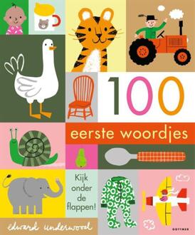 Boeken 100 eerste woordjes (karton). 2+