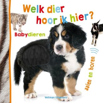 Boeken Welk Dier Hoor Ik Hier? - Babydieren - Babydieren