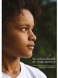 Boekenbent, Uitgeverij The Astonishments Of Stork Mayfield - Ferdy Karto