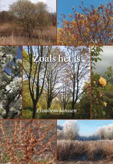 Boekenbent, Uitgeverij Zoals het is - Boek Elisabeth Janssen (9085708915)