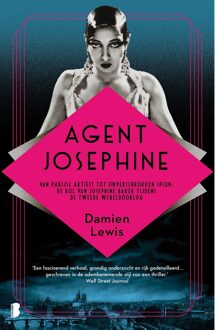 Boekerij Agent Josephine - Damien Lewis - ebook