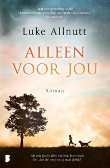 Boekerij Alleen voor jou - eBook Luke Allnutt (9402310290)