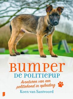 Boekerij Bumper de politiepup