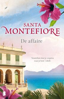 Boekerij De affaire - eBook Santa Montefiore (9460925626)