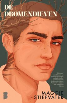 Boekerij De dromendieven - Maggie Stiefvater - ebook