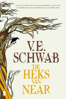 Boekerij De heks van Near - V.E. Schwab - ebook