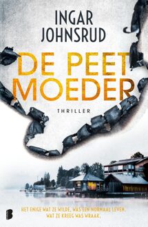 Boekerij De peetmoeder - Ingar Johnsrud - ebook