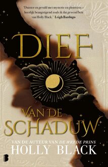 Boekerij Dief van de schaduw - Holly Black - ebook