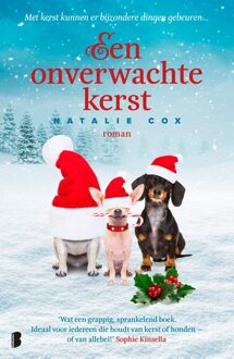 Boekerij Een onverwachte kerst