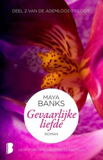Boekerij Gevaarlijke liefde - eBook Maya Banks (9460236146)