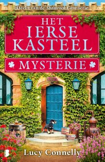 Boekerij Het Ierse kasteelmysterie - Lucy Connelly, - ebook