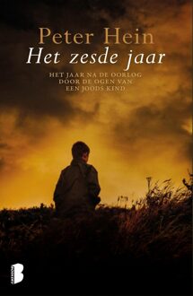 Boekerij Het zesde jaar - eBook Peter Hein (9402302425)