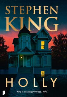 Boekerij Holly - Stephen King - ebook