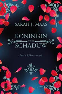 Boekerij Koningin van de schaduw - eBook Sarah J. Maas (9402308776)