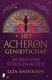 Boekerij Muren van steen en bloed - Liza Anderson - ebook