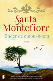 Boekerij Onder de ombu-boom - eBook Santa Montefiore (9460925510)