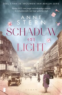 Boekerij Schaduw en licht - Anne Stern - ebook
