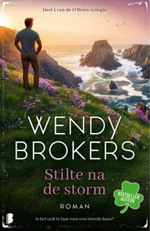 Boekerij Stilte na de storm - Wendy Brokers - ebook