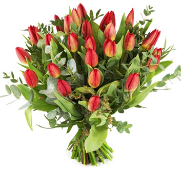 Boeket Rode tulpen