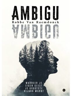Boekscout Ambigu - Robbe Van Raemdonck