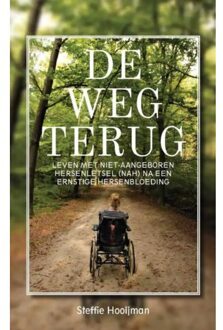 Boekscout De Weg Terug - Steffie Hooijman