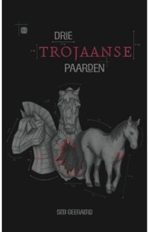 Boekscout Drie Trojaanse Paarden - Seb Geeraerd