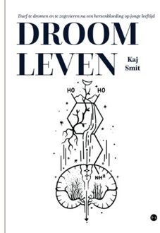 Boekscout Droomleven - Kaj Smit