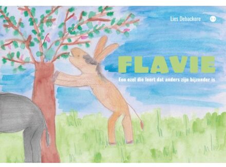 Boekscout Flavie - Lies Debackere