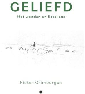 Boekscout Geliefd - Pieter Grimbergen