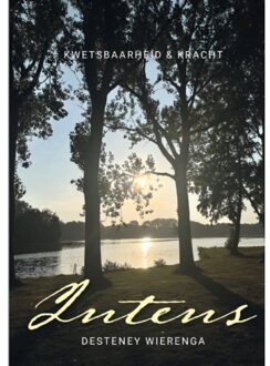 Boekscout Intens - Desteney Wierenga