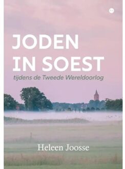 Boekscout Joden In Soest Tijdens De Tweede Wereldoorlog - Heleen Joosse