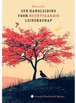 Boekscout Matteüs - Gerda Hoekveld-Meijer