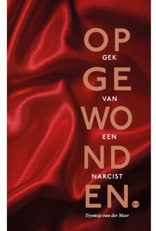 Boekscout Opgewonden - Tryntsje van der Meer