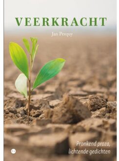 Boekscout Veerkracht - Jan Perquy