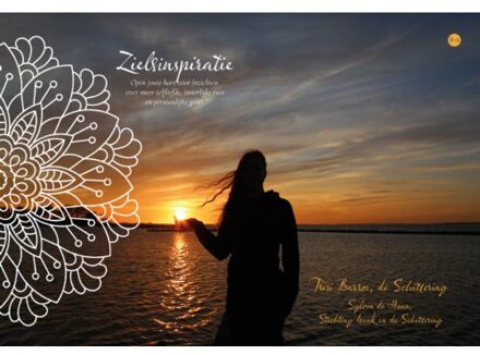 Boekscout Zielsinspiratie - de Schittering Tresi Barros