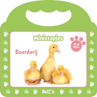 Boerderij - Ministapjes