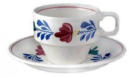 Boerenbont Kop en schotel 0,2L doos a 6 multi