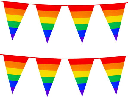 Boland 2x Stuks Boland PE vlaggenlijn - 8m - Regenboog - Universeel Thema - Vlaggenlijnen Multikleur