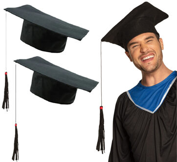 Boland Afstudeer/geslaagd hoedje - 2x - zwart - diploma gehaald - doctoraal hoed voor studenten
