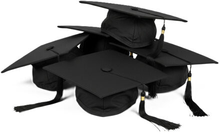 Boland Afstudeer hoed/muts geslaagd - 4x - zwart - voor volwassenen - Examen diploma