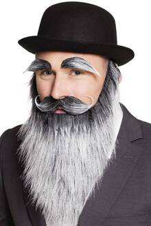 Boland Baard Met Wenkbrauwen En Snor Oude Man Heren Grijs