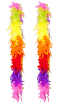 Boland Carnaval verkleed boa met veren - 2x - regenboog kleuren - 180 cm - 50 gram - Pride thema