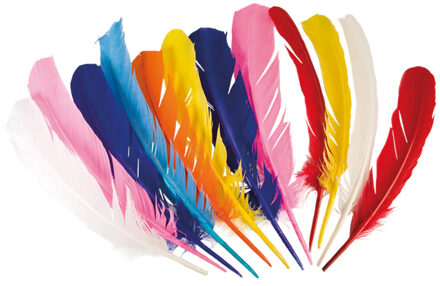 Boland Gekleurde indianen veren 12 stuks Multikleur