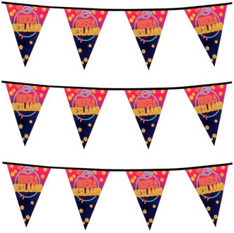 Boland Hoera Geslaagd vlaggenlijn - 3x - 6 meter - Feestartikelen - Geslaagd versiering