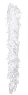 Boland Kerst boa - veren slinger - wit/zilver - 180 cm - 50 gram - kerstboomversiering - kerstslinger