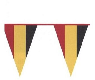 Boland PE vlaggenlijn - 10m - Belgische vlag - Belgie Thema Multi