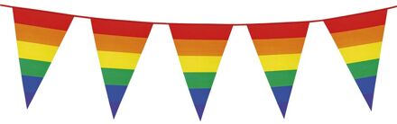 Boland PE vlaggenlijn - 8m - Regenboog - Universeel Thema - Vlaggenlijnen Multikleur