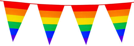 Boland PE vlaggenlijn - 8m - Regenboog - Universeel Thema